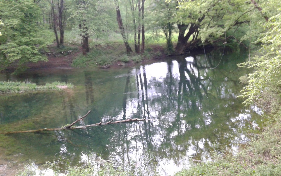 Šola v naravi 5. razred